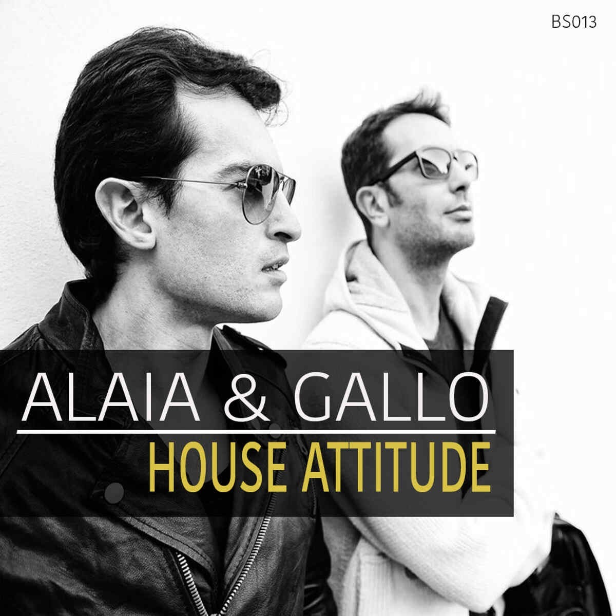 Bingoshakerz - Alaia & Gallo: House Attitude Sample Packs Software GUI Artwork